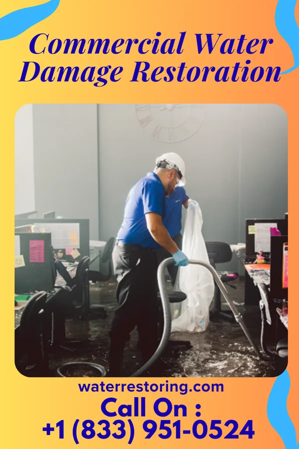 Commercial Water Damage Restoration in Maribel, WI