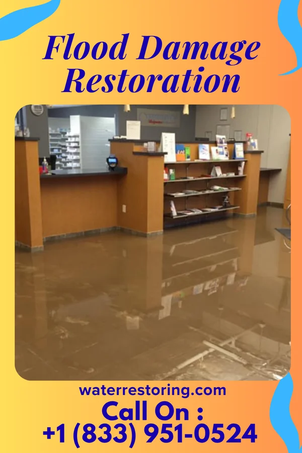 Flood Damage Restoration in Maribel, WI