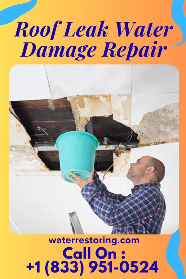 Roof Leak Water Damage Repair in Maribel, WI