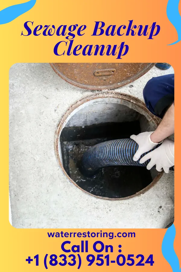 Sewage Backup Cleanup in Maribel, WI