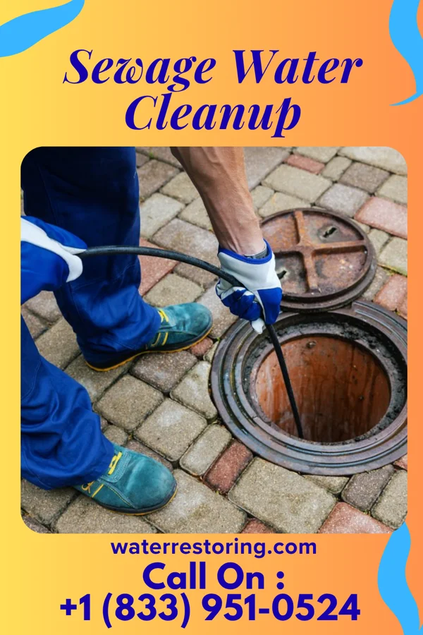 Sewage Water Cleanup in Maribel, WI